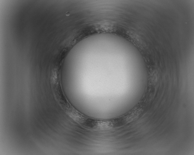 X0000073950709200608281215