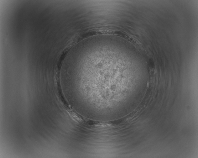 X0000073950712200608281215