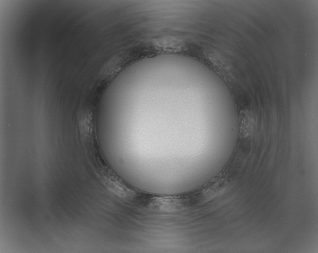 X0000073950713200608281215