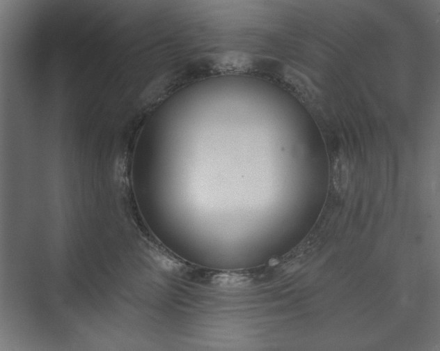 X0000073950714200608281215