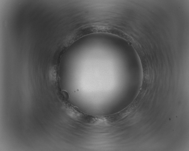 X0000073950715200608281215