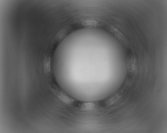 X0000073950717200608281215