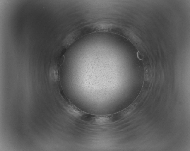 X0000073950718200608281215