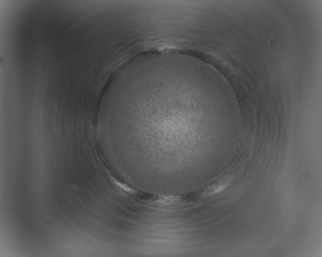 X0000073950720200608281215