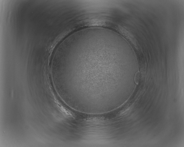 X0000073950721200608281214