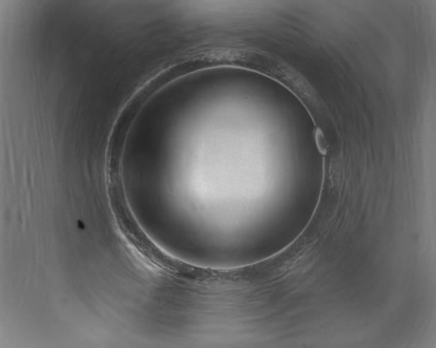 X0000073950722200608281214