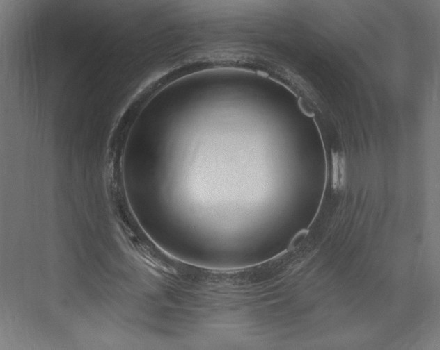 X0000073950723200608281214