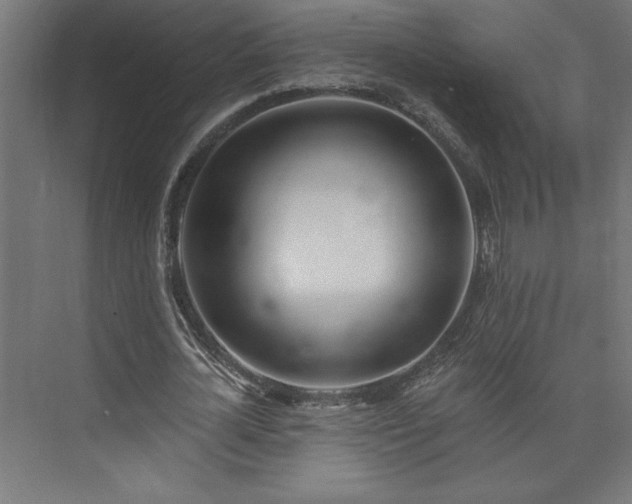 X0000073950724200608281214