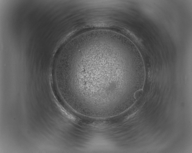 X0000073950725200608281214