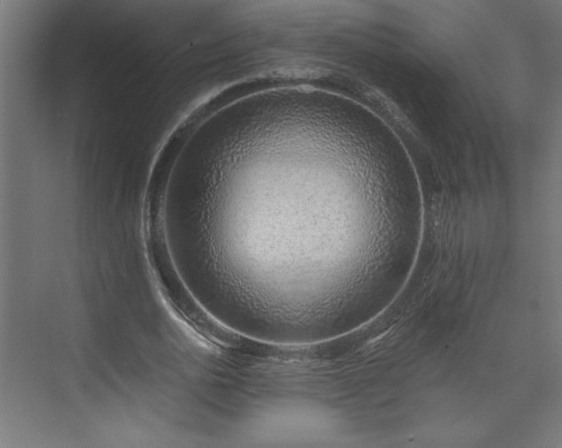 X0000073950726200608281214