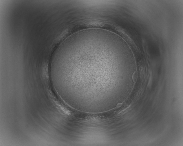 X0000073950729200608281214