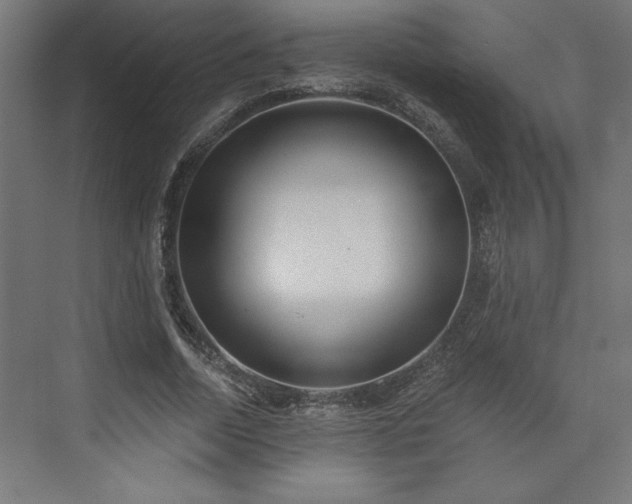 X0000073950730200608281214