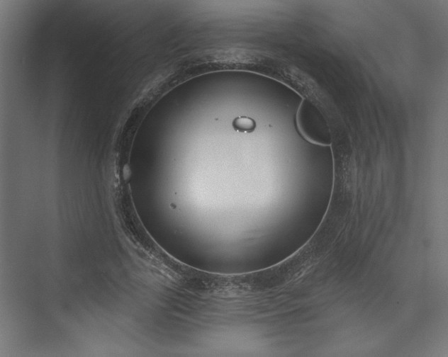 X0000073950731200608281214