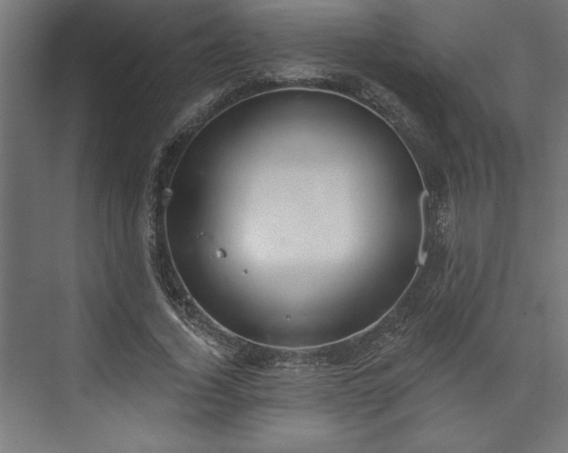 X0000073950732200608281214