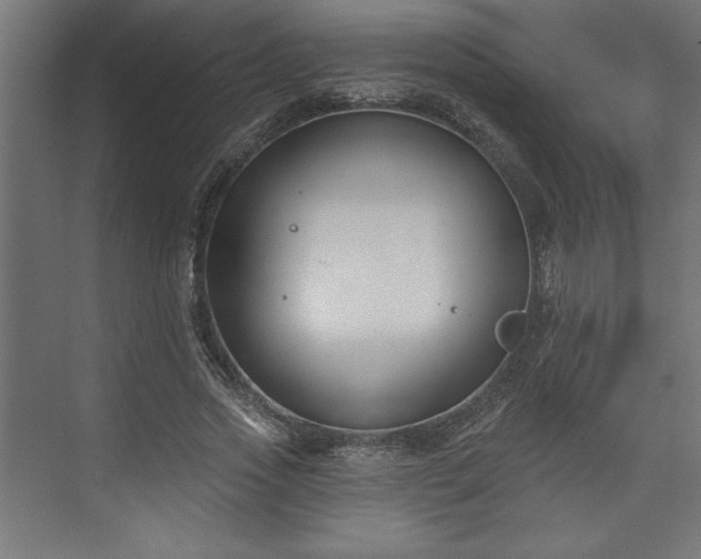 X0000073950733200608281214