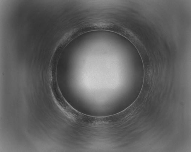 X0000073950734200608281214