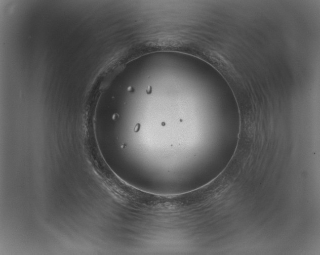 X0000073950735200608281214