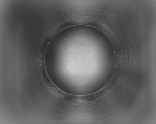 X0000073950737200608281214