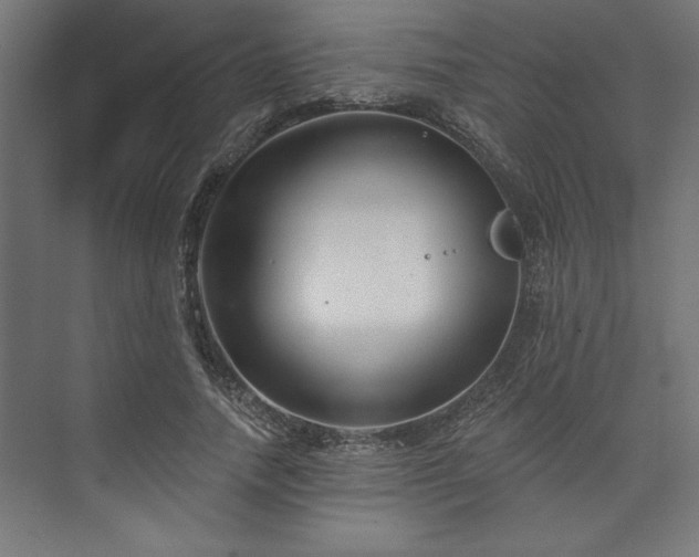 X0000073950738200608281214