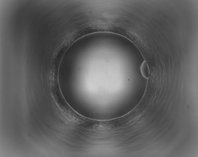 X0000073950739200608281214