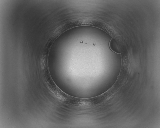 X0000073950741200608281214