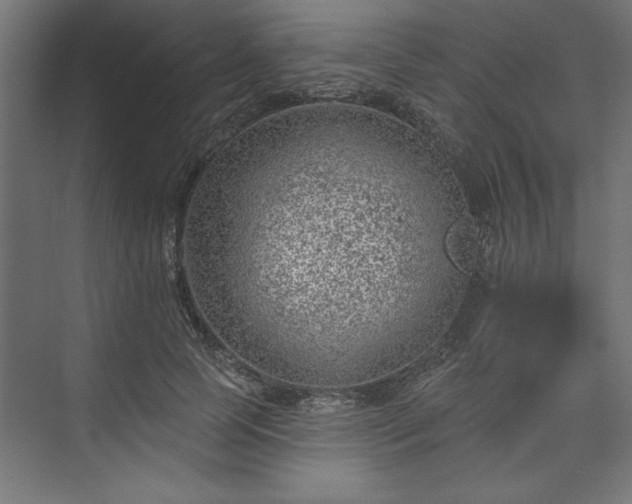 X0000073950745200608281215