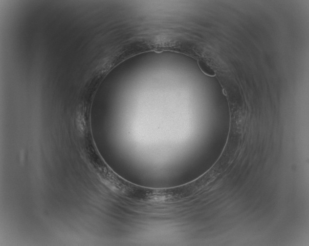 X0000073950746200608281215