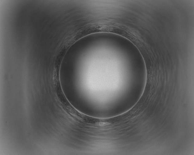 X0000073950748200608281215