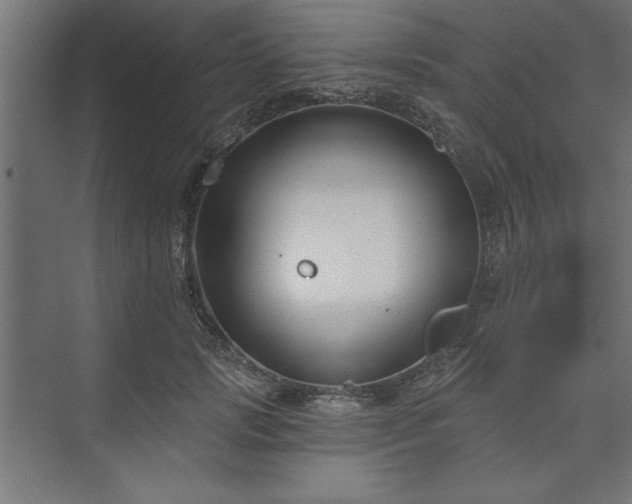 X0000073950749200608281215