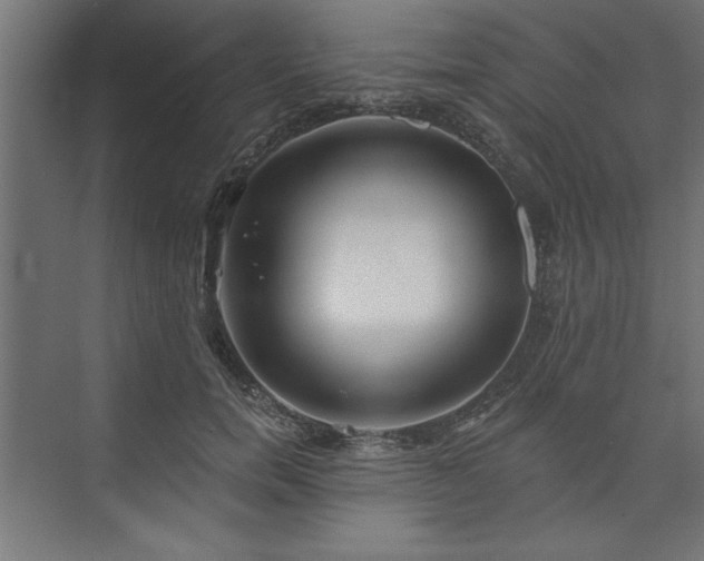 X0000073950750200608281215