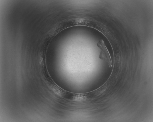 X0000073950754200608281215