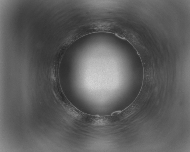 X0000073950755200608281215