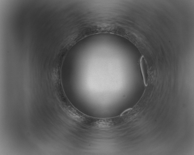 X0000073950756200608281215