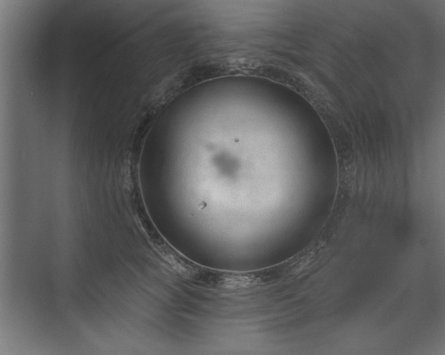 X0000073950757200608281215