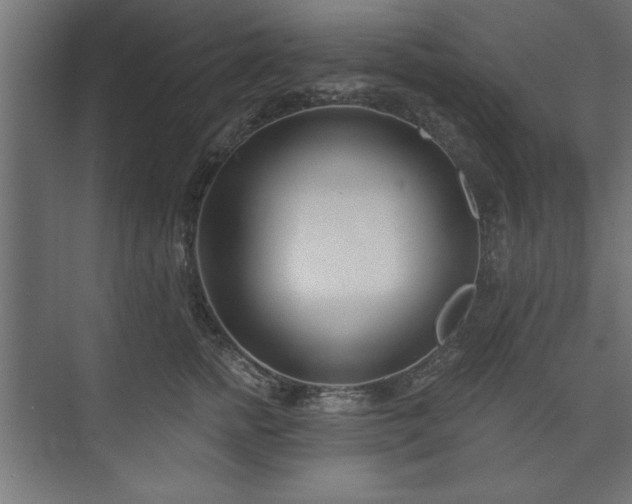 X0000073950758200608281215