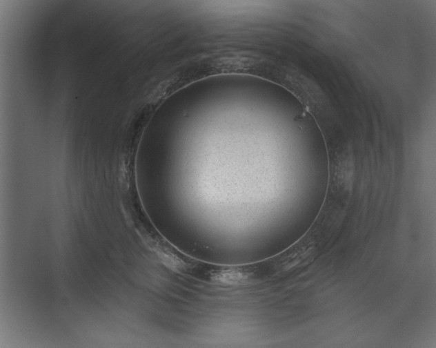 X0000073950759200608281215