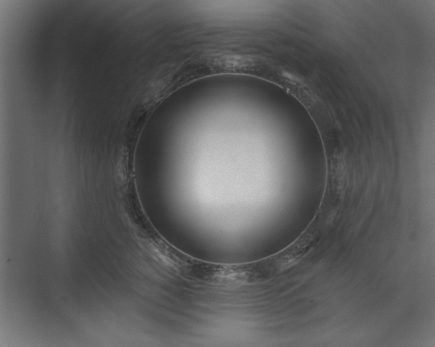 X0000073950760200608281215