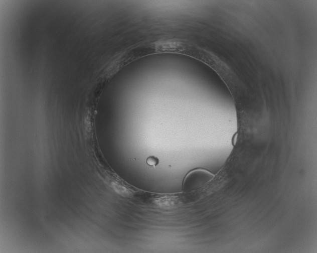 X0000073950761200608281215