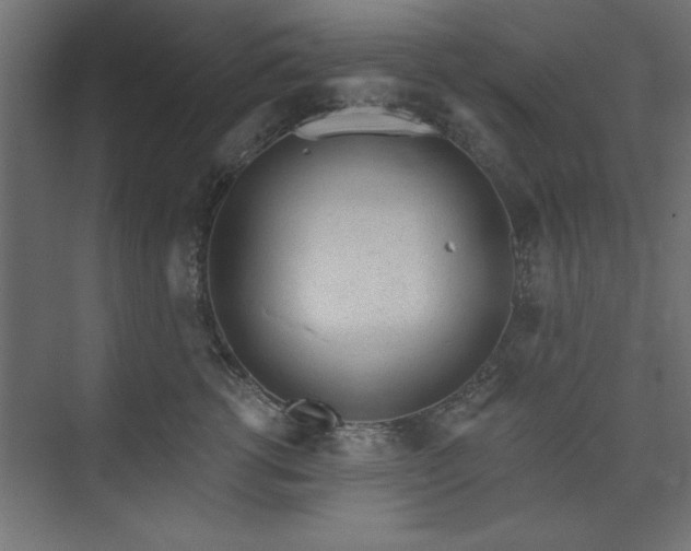 X0000073950762200608281215