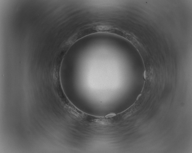 X0000073950763200608281215