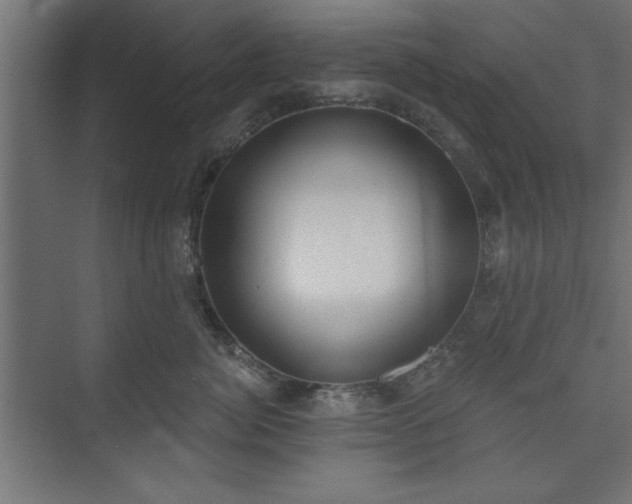 X0000073950764200608281215