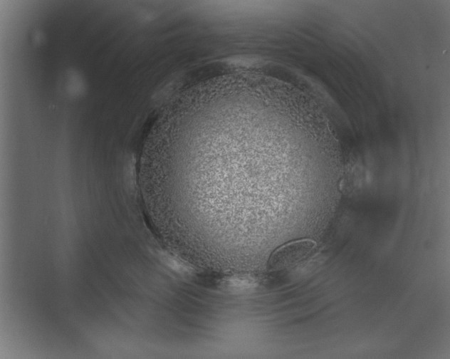 X0000073950765200608281215