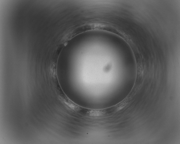 X0000073950766200608281215