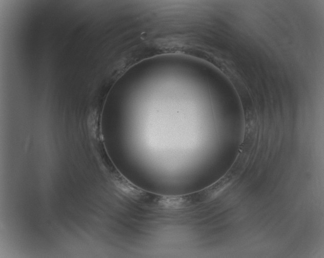 X0000073950767200608281215