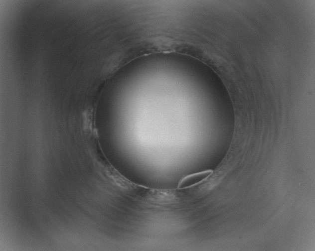 X0000073950768200608281215