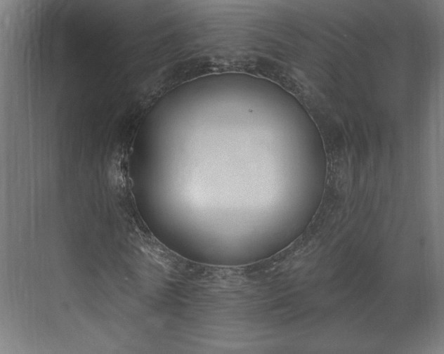 X0000073950770200608281214