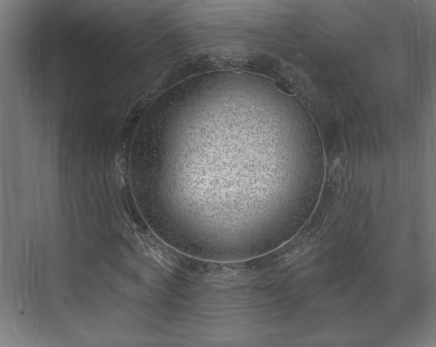 X0000073950772200608281214