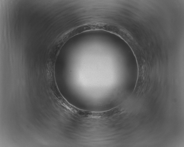 X0000073950773200608281214