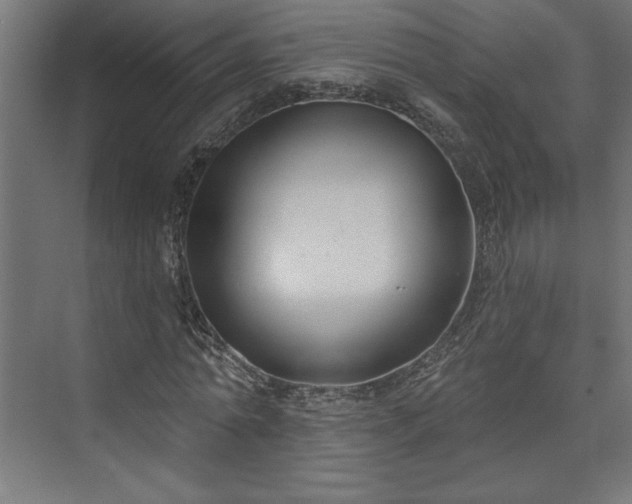 X0000073950774200608281214