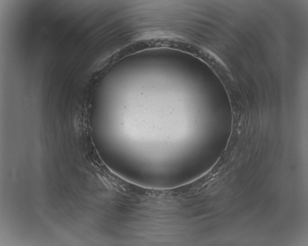 X0000073950775200608281214